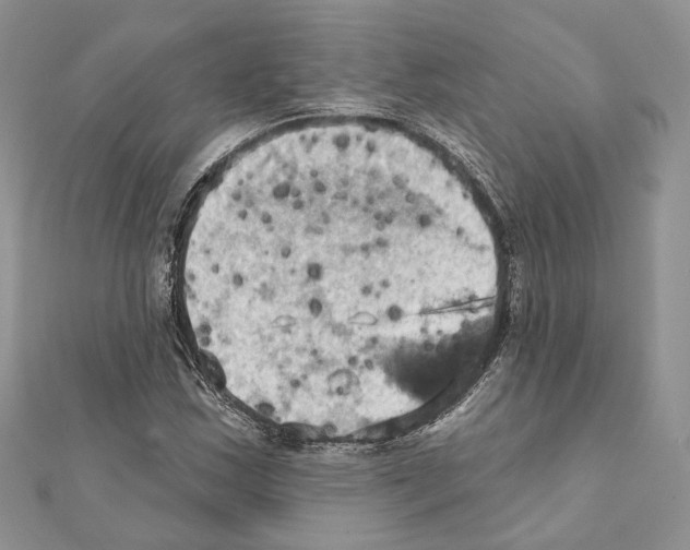X0000111361163200908211250