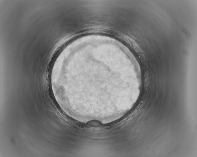 X0000111361164200908211250
