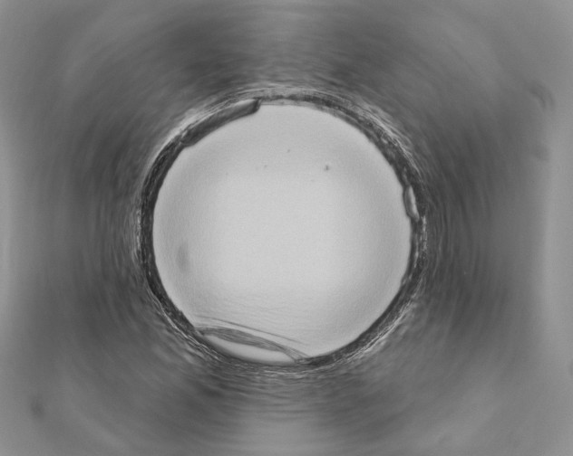 X0000111361165200908211250