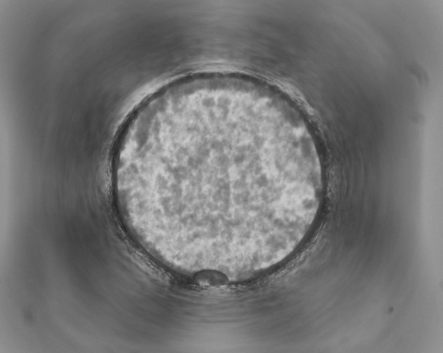 X0000111361167200908211250