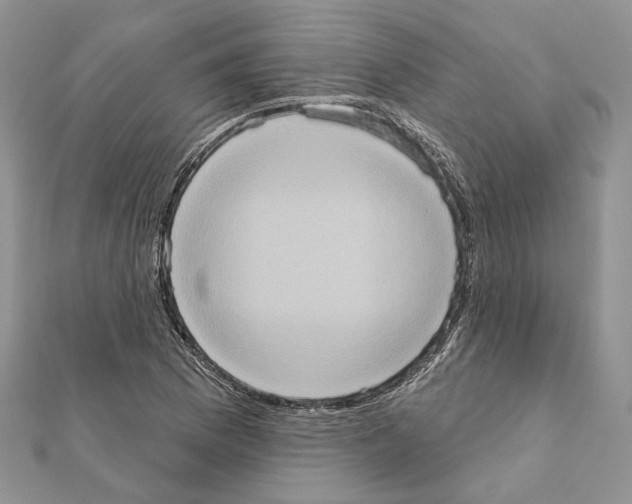 X0000111361169200908211250