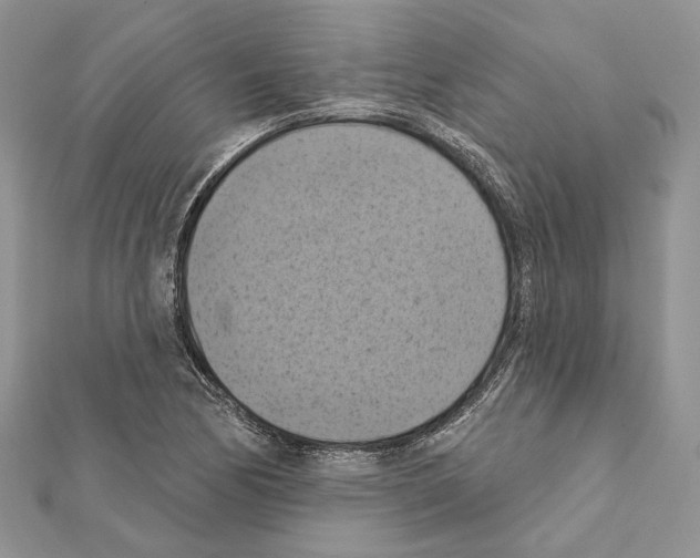 X0000111361170200908211250