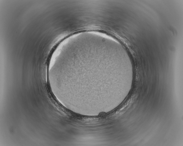 X0000111361171200908211250