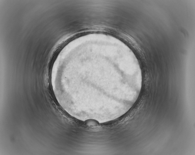 X0000111361172200908211250