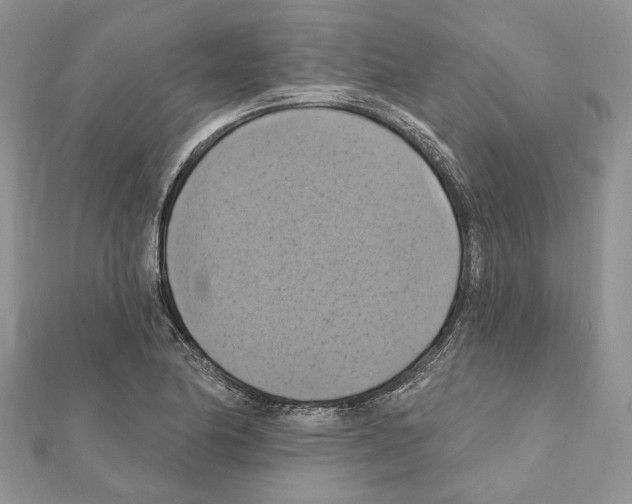X0000111361174200908211250