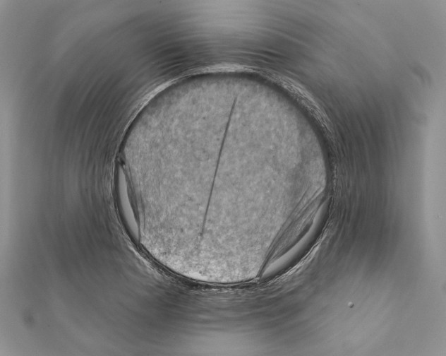 X0000111361177200908211250