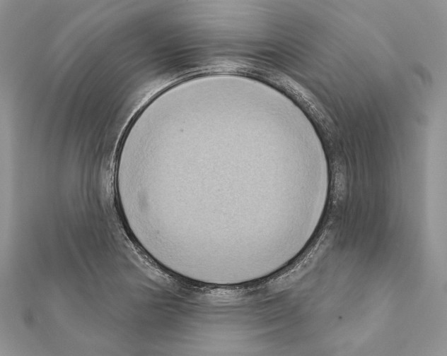 X0000111361178200908211250