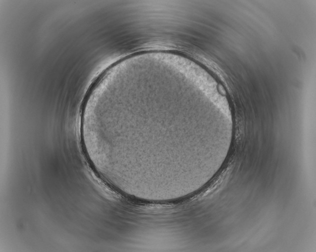 X0000111361179200908211250