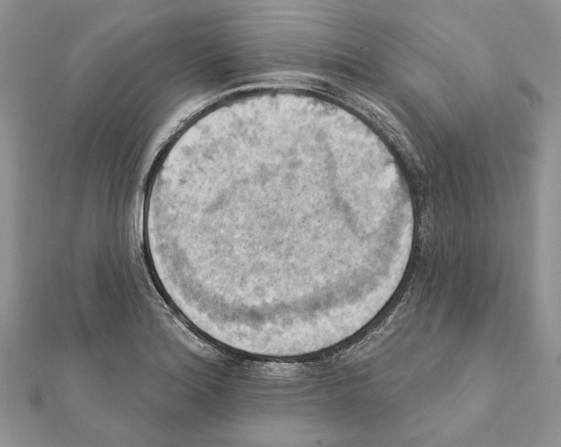 X0000111361180200908211250