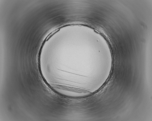 X0000111361181200908211250