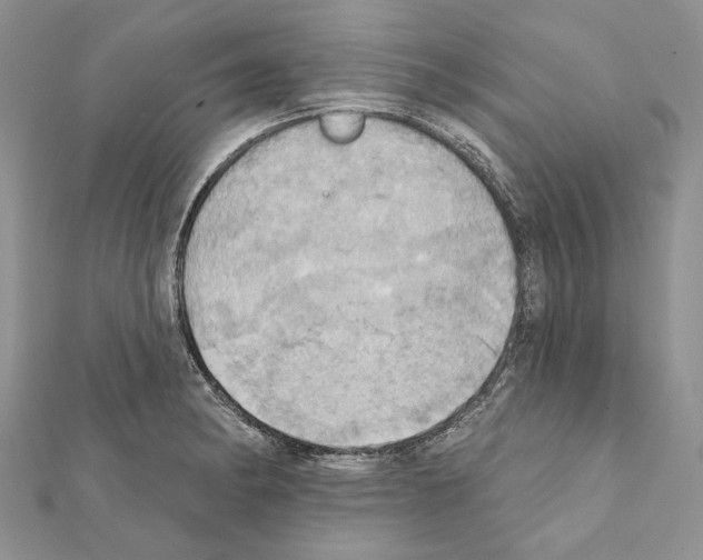X0000111361182200908211250