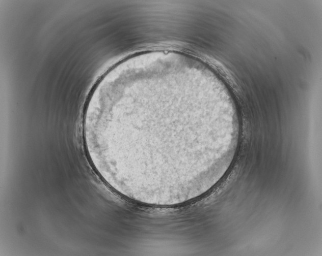 X0000111361184200908211250