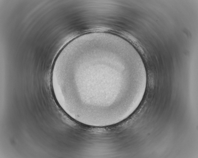 X0000111361186200908211250