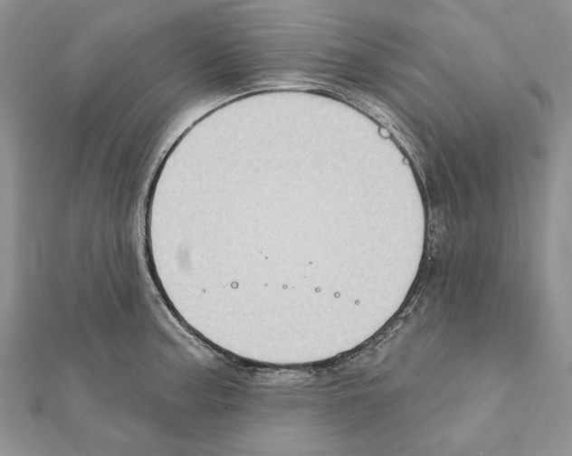 X0000111361187200908211250