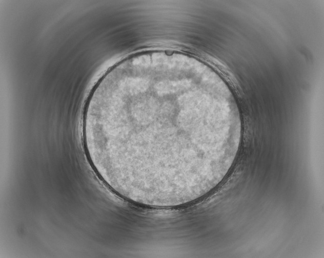 X0000111361188200908211250
