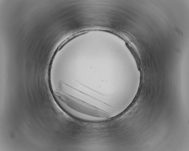 X0000111361189200908211249