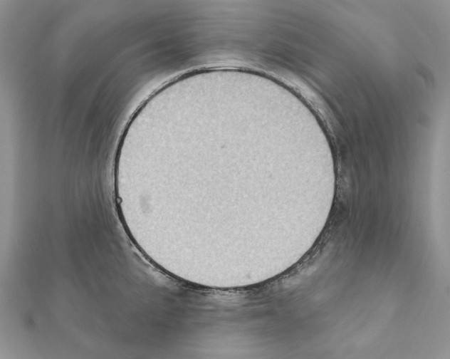 X0000111361191200908211249
