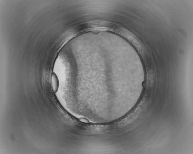 X0000111361193200908211249