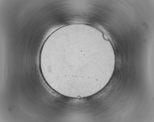 X0000111361195200908211249