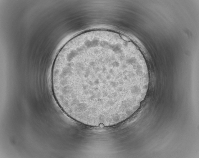X0000111361199200908211249