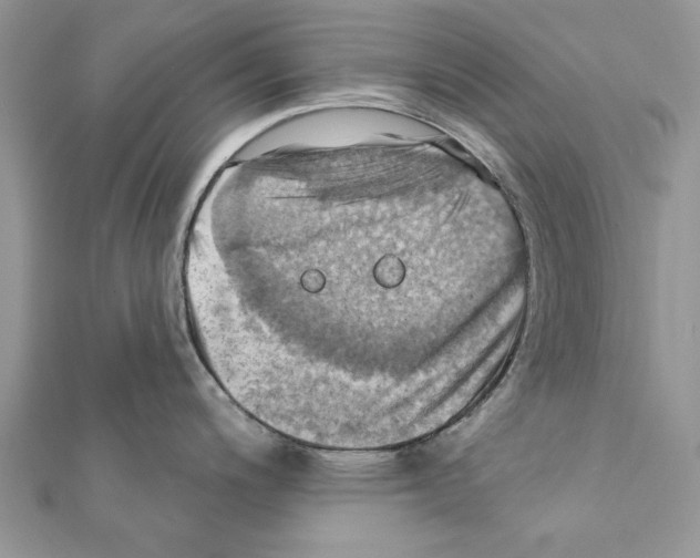 X0000111361200200908211249