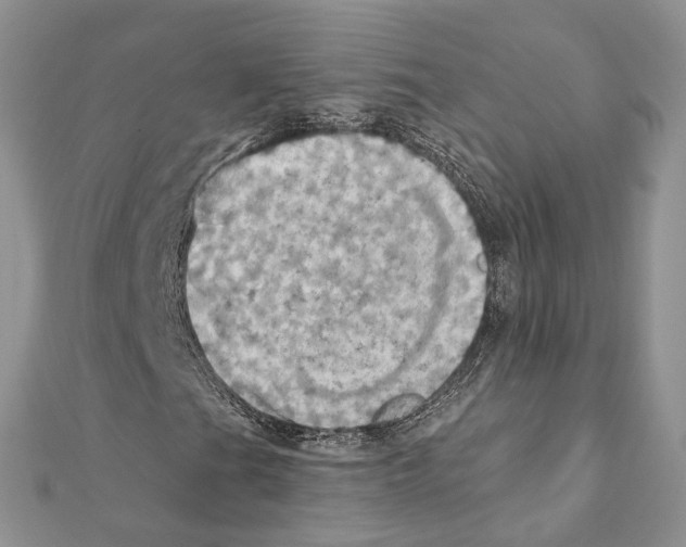 X0000111361201200908211249