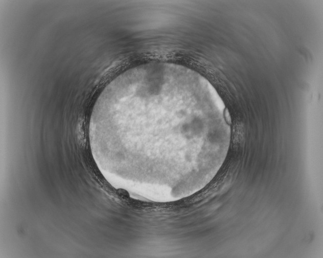 X0000111361202200908211249