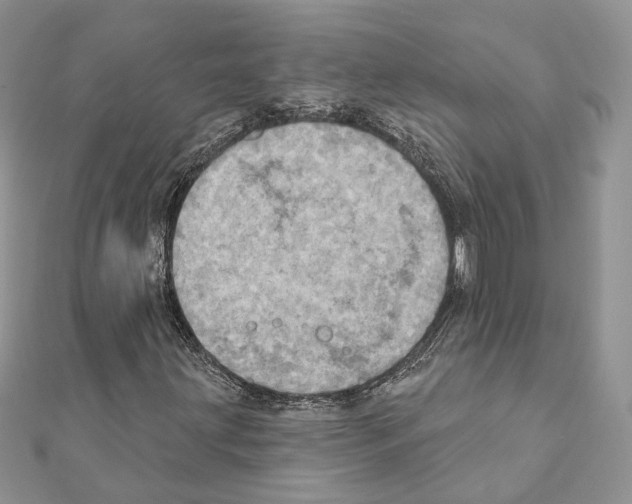 X0000111361203200908211249