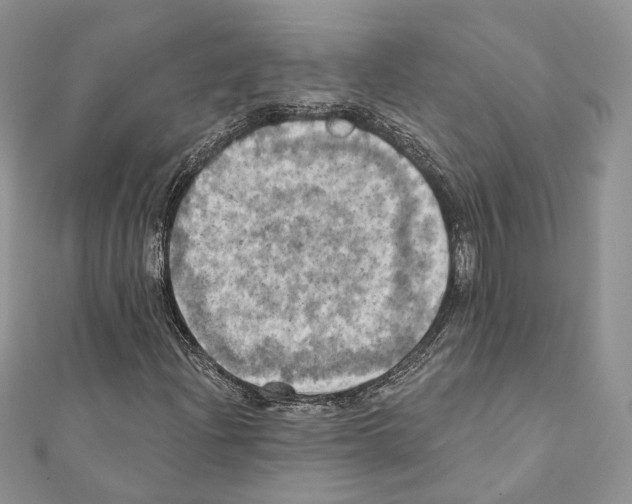X0000111361204200908211249