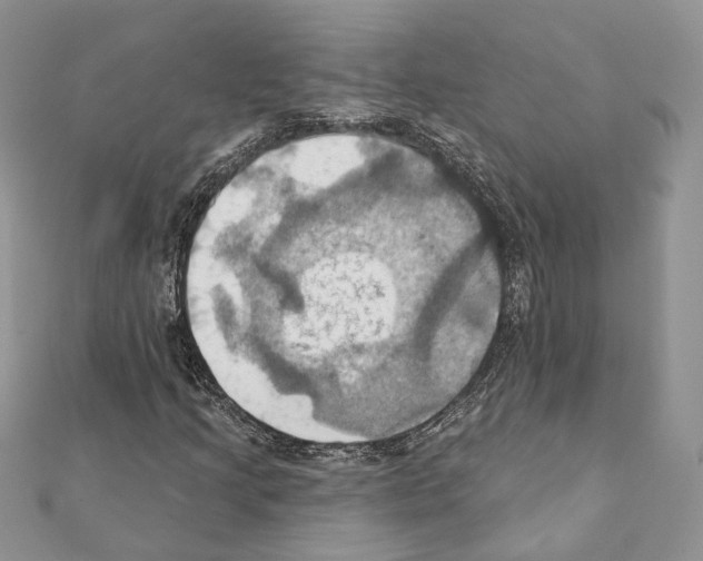 X0000111361205200908211249