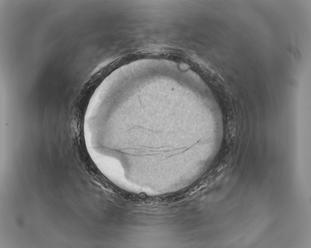 X0000111361206200908211249
