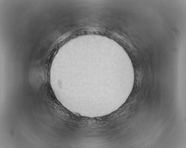 X0000111361207200908211249