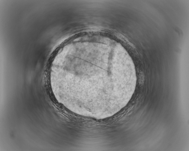X0000111361208200908211249