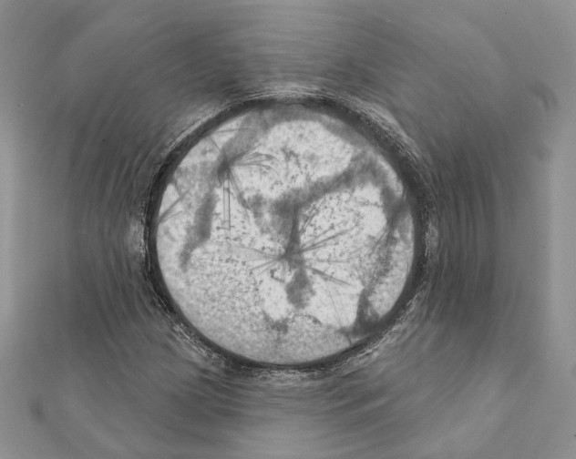 X0000111361209200908211249