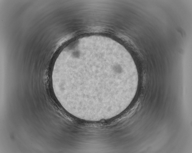 X0000111361210200908211249