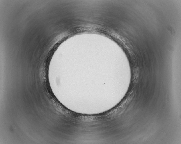 X0000111361211200908211249