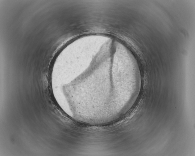 X0000111361212200908211249