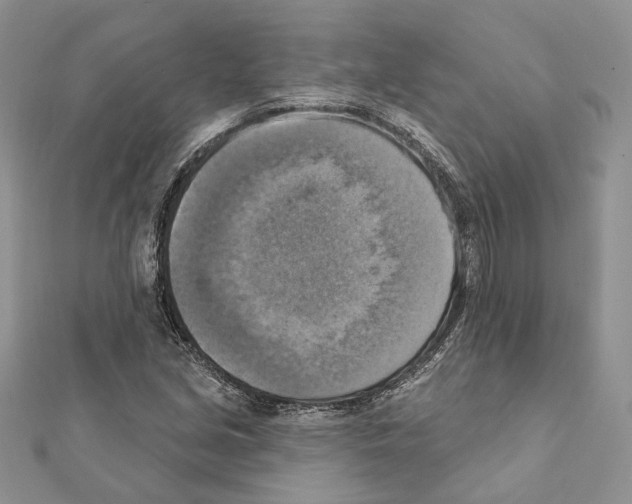 X0000111361213200908211249