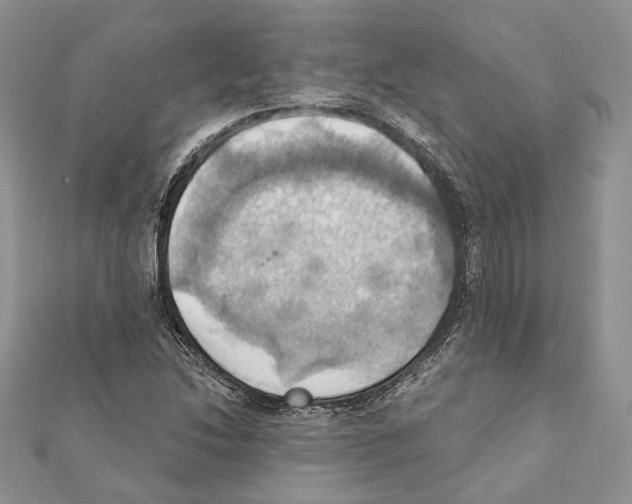 X0000111361214200908211249