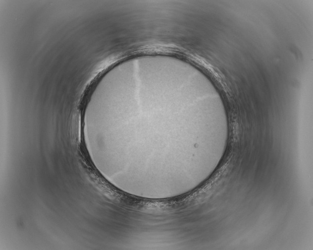 X0000111361219200908211249
