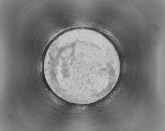 X0000111361220200908211249