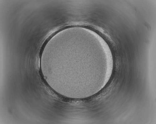 X0000111361221200908211249