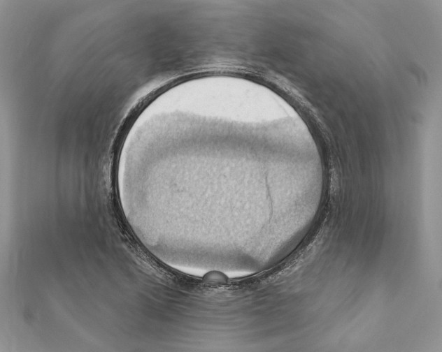 X0000111361222200908211249