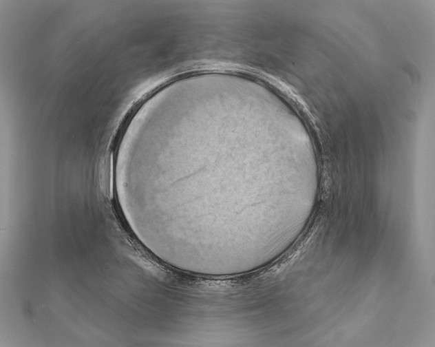 X0000111361223200908211249