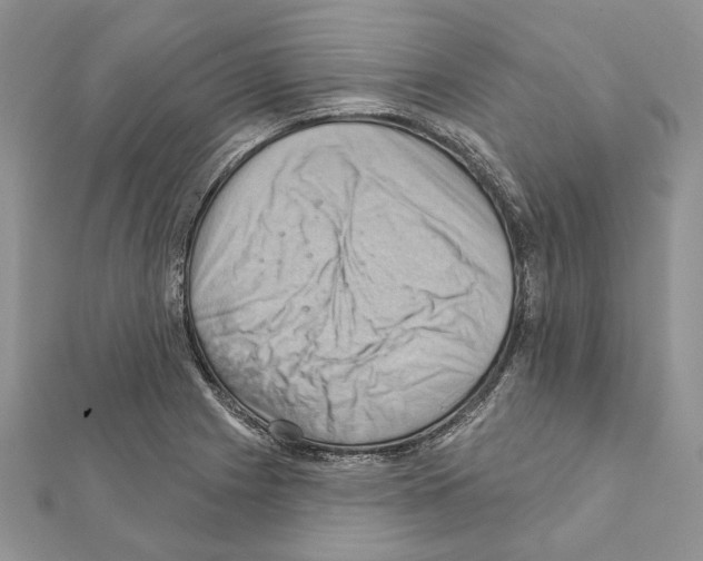 X0000111361225200908211249