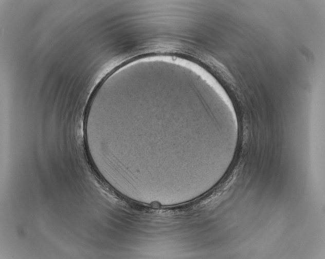 X0000111361226200908211249