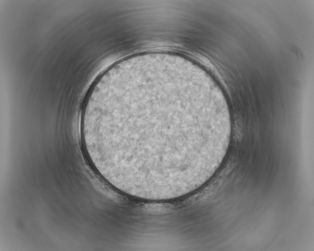 X0000111361227200908211249