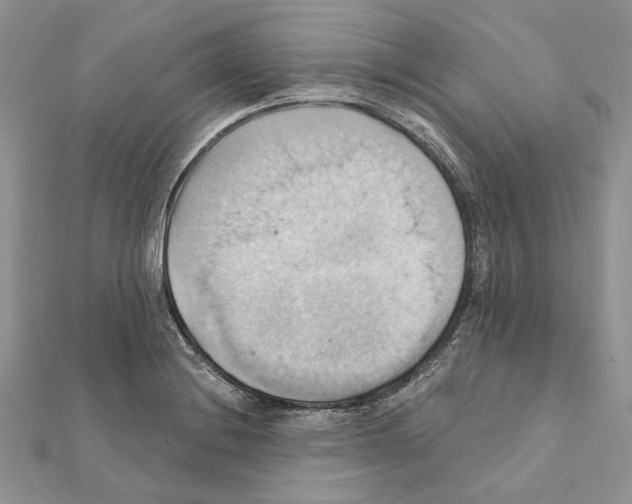 X0000111361228200908211249