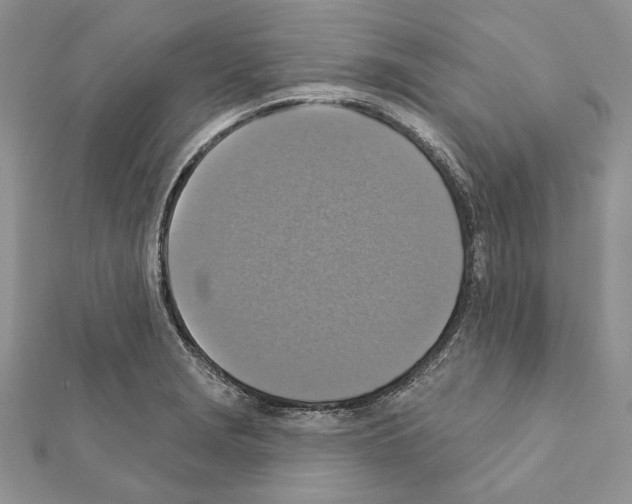 X0000111361229200908211249