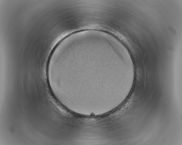 X0000111361230200908211249